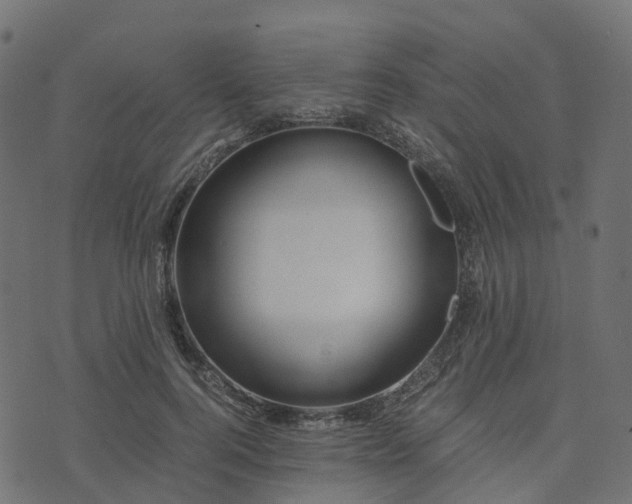 X0000073920744200608181049