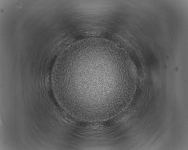 X0000073920745200608181049