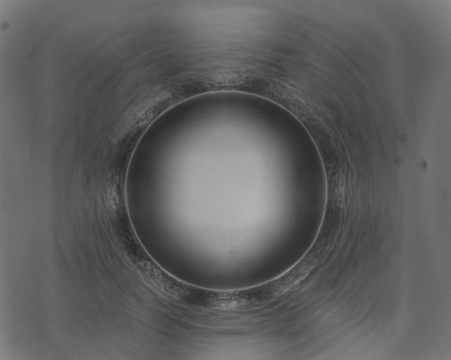 X0000073920746200608181049