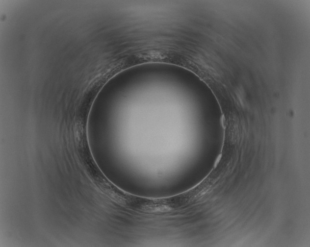 X0000073920747200608181049