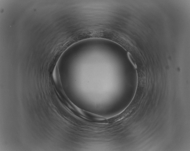 X0000073920748200608181049