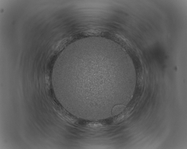 X0000073920749200608181049