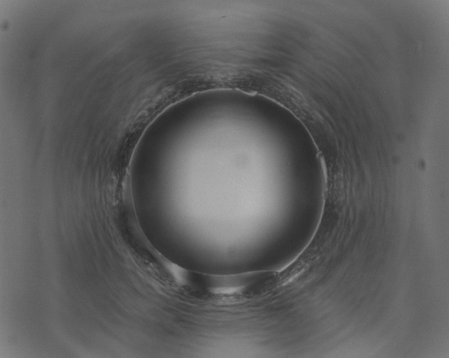 X0000073920750200608181049