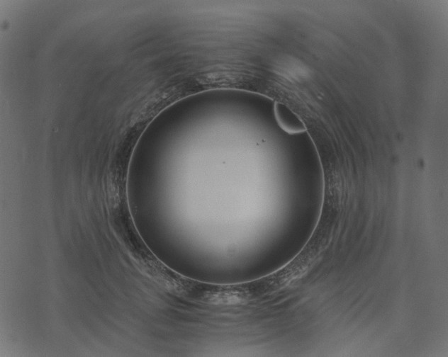 X0000073920751200608181049