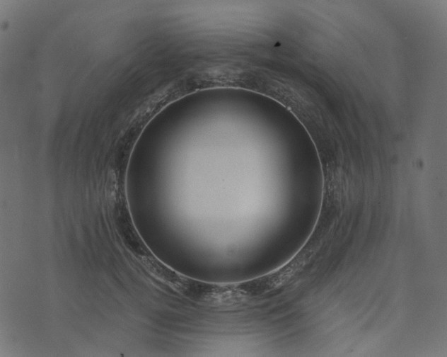 X0000073920752200608181049