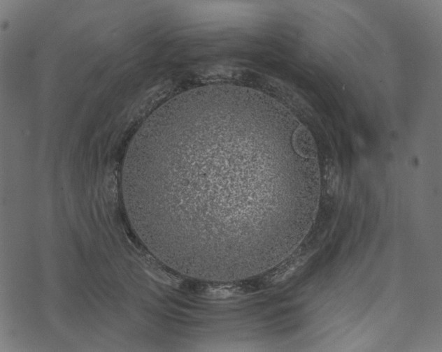 X0000073920753200608181049