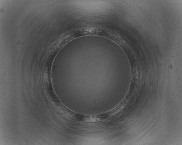 X0000073920754200608181049