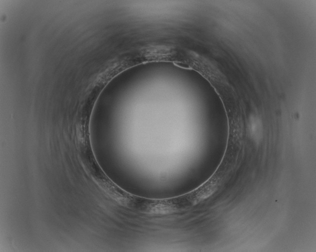 X0000073920755200608181049