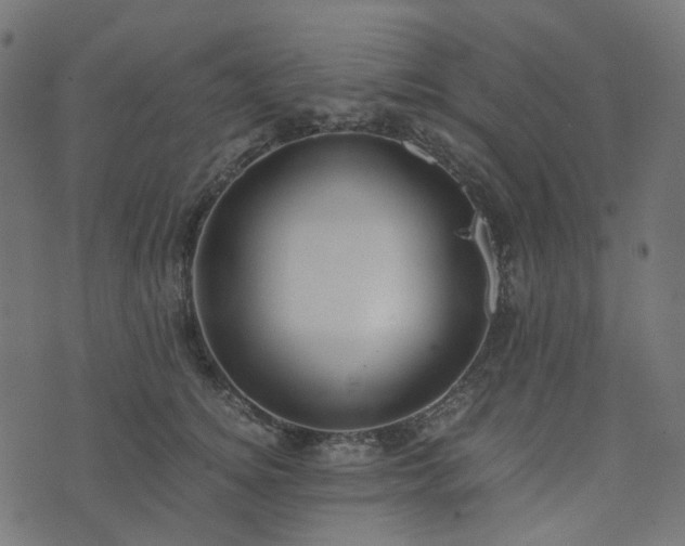 X0000073920756200608181049