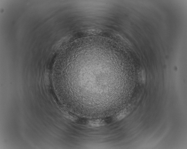 X0000073920757200608181049