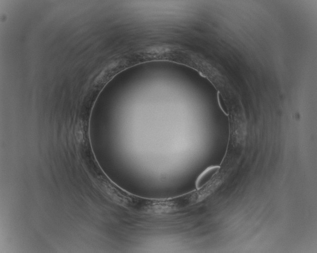 X0000073920758200608181049