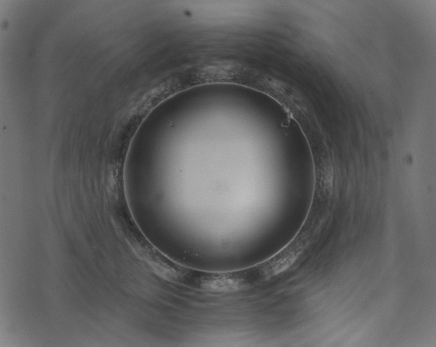 X0000073920759200608181049