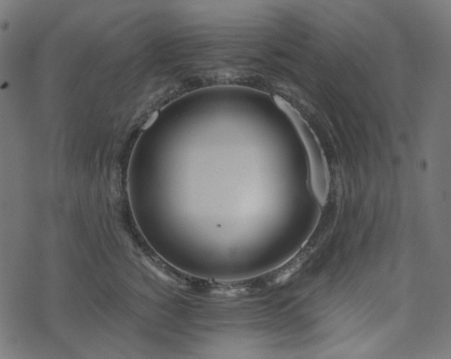 X0000073920760200608181049