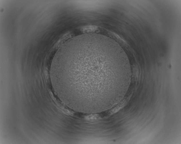 X0000073920761200608181049