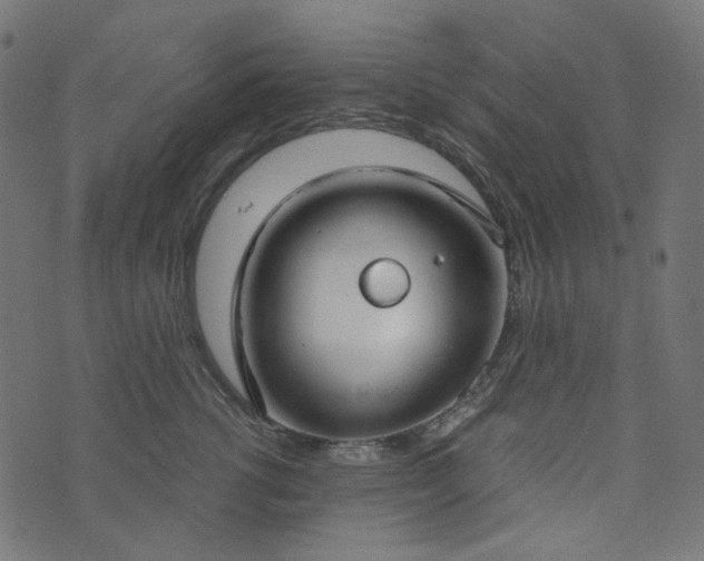 X0000073920762200608181049