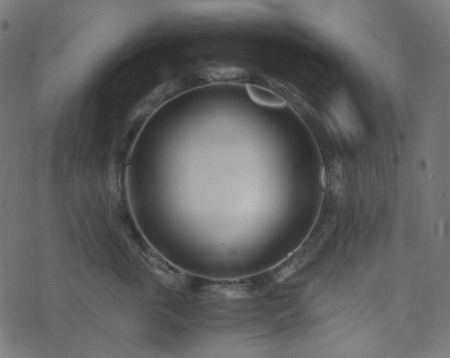 X0000073920763200608181049