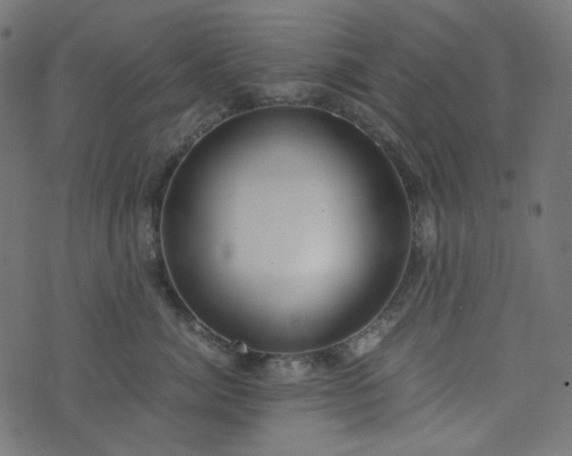 X0000073920764200608181049