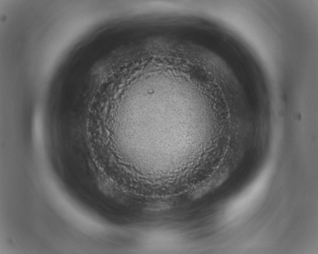 X0000073920765200608181049