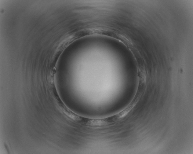 X0000073920766200608181049