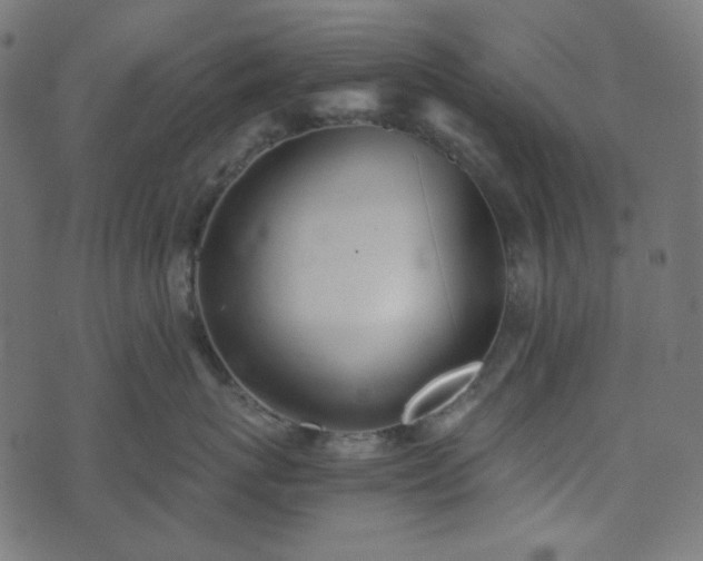 X0000073920767200608181049