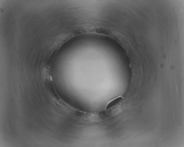 X0000073920768200608181049