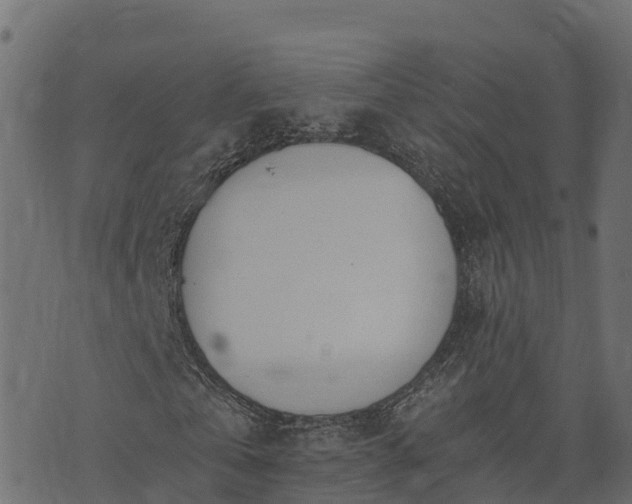 X0000073920769200608181048