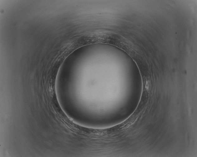 X0000073920771200608181048