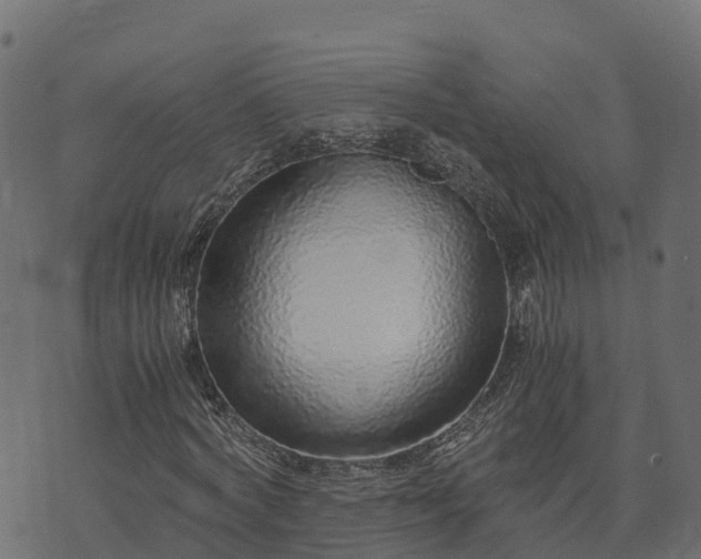 X0000073920772200608181048