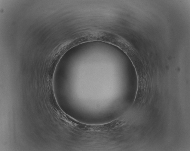 X0000073920773200608181048