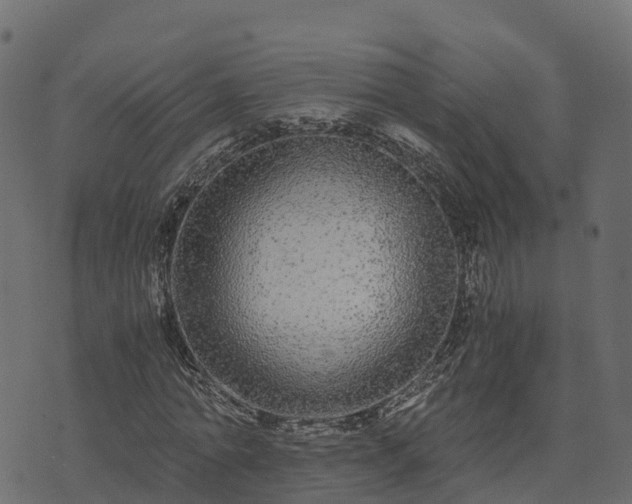 X0000073920774200608181048