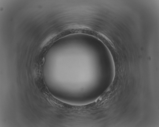 X0000073920775200608181048