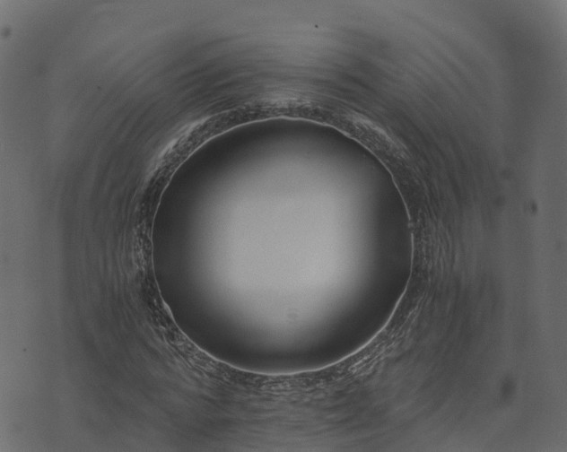 X0000073920776200608181048