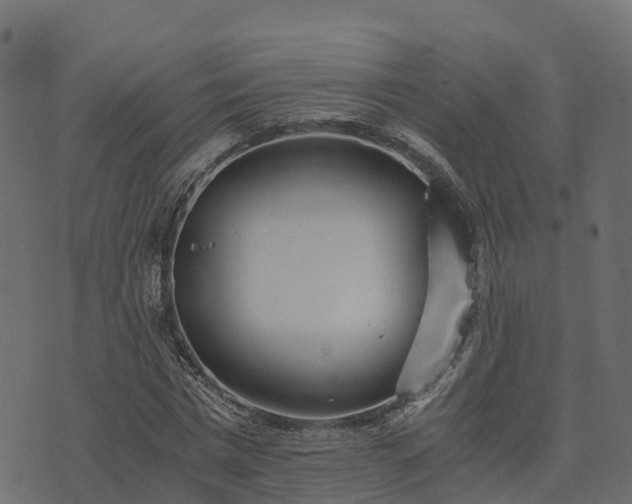 X0000073920777200608181048