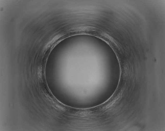 X0000073920778200608181048