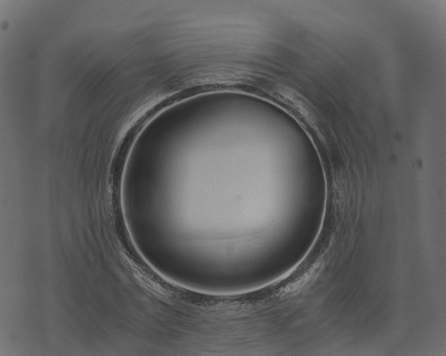 X0000073920779200608181048