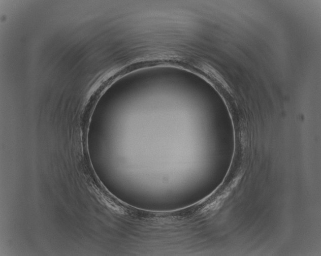 X0000073920781200608181048