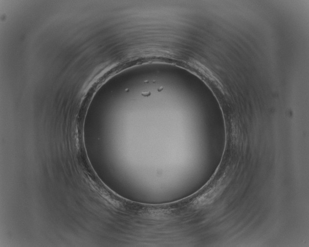 X0000073920782200608181048