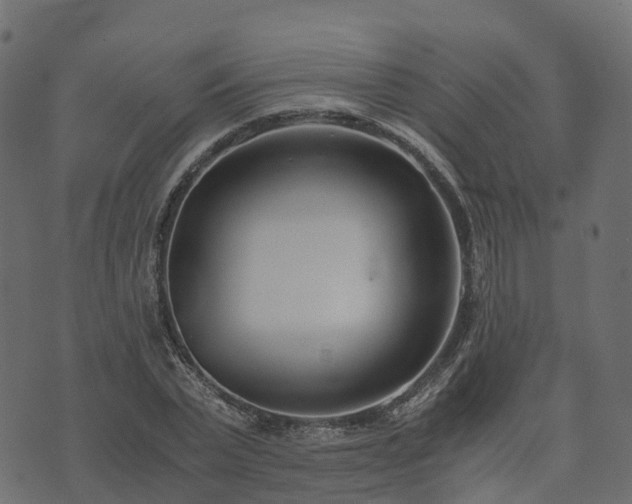 X0000073920783200608181048