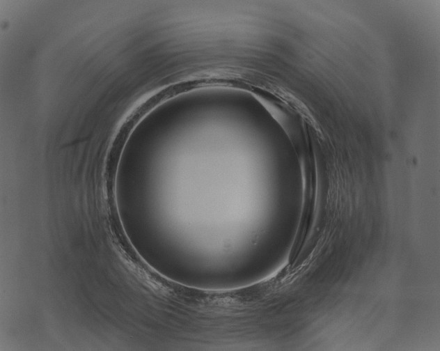 X0000073920784200608181048