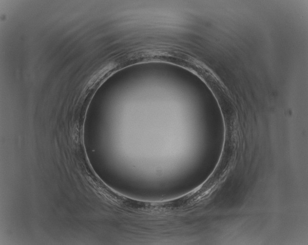 X0000073920785200608181048