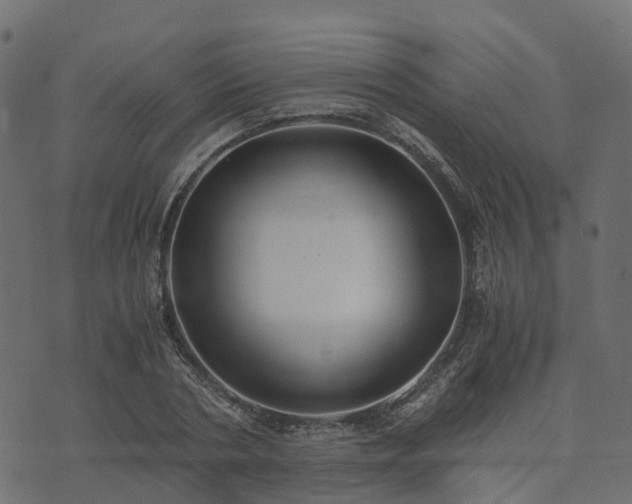 X0000073920786200608181048