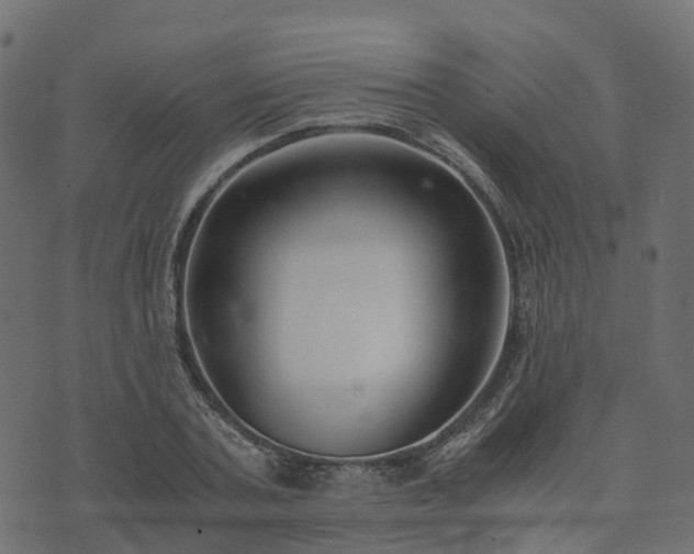 X0000073920787200608181048