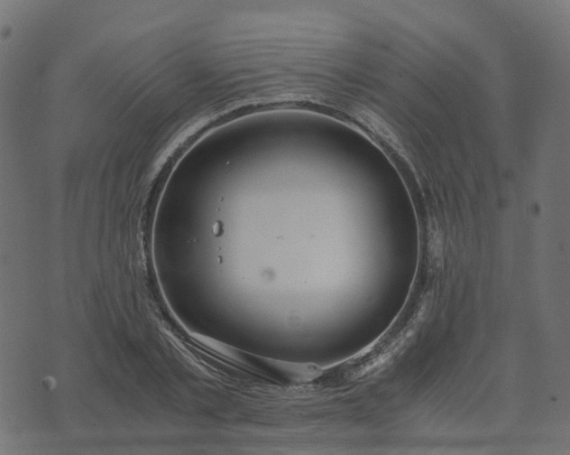 X0000073920789200608181048