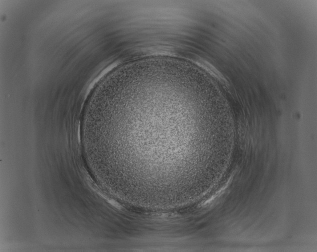 X0000073920790200608181048