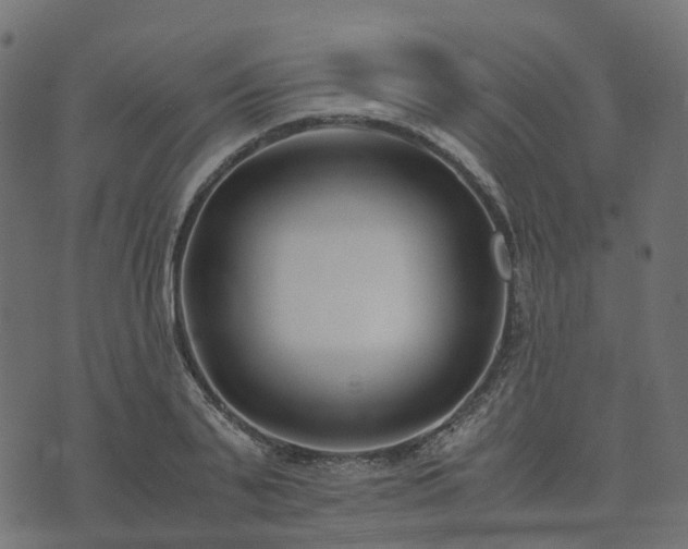 X0000073920791200608181048