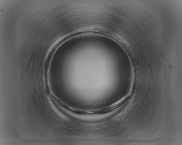 X0000073920792200608181048