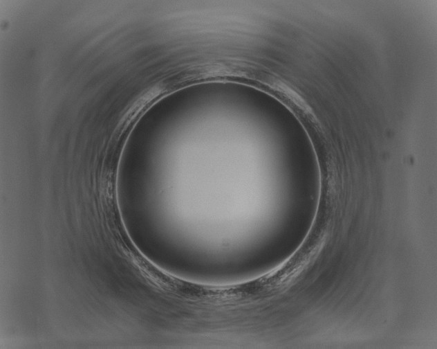 X0000073920793200608181048