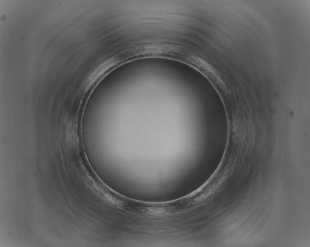 X0000073920794200608181048