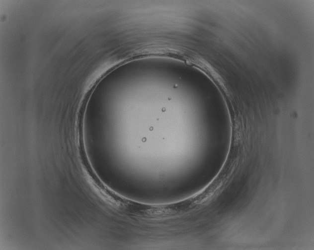 X0000073920795200608181048