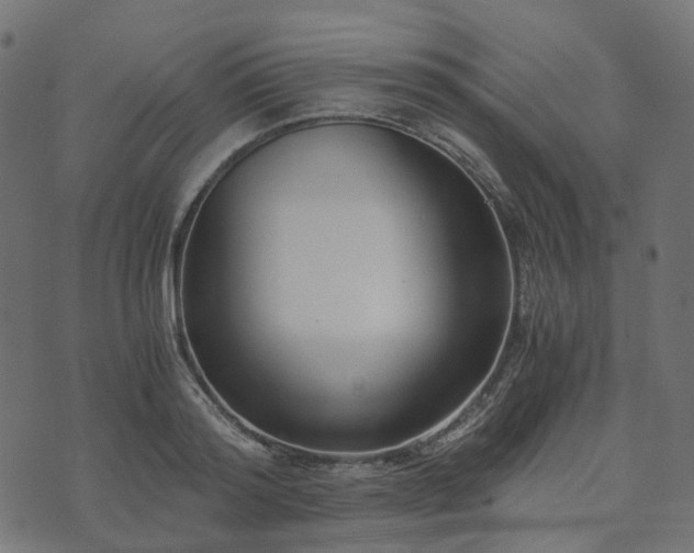 X0000073920796200608181048